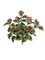 18" Green/White Holly Bush - 54 Leaves, Set of 12, Lifelike Foliage, Home & Event Décor - Ideal for Christmas & Winter Displays - 2024 Christmas Collection, Floral Home by Artificial Flowers